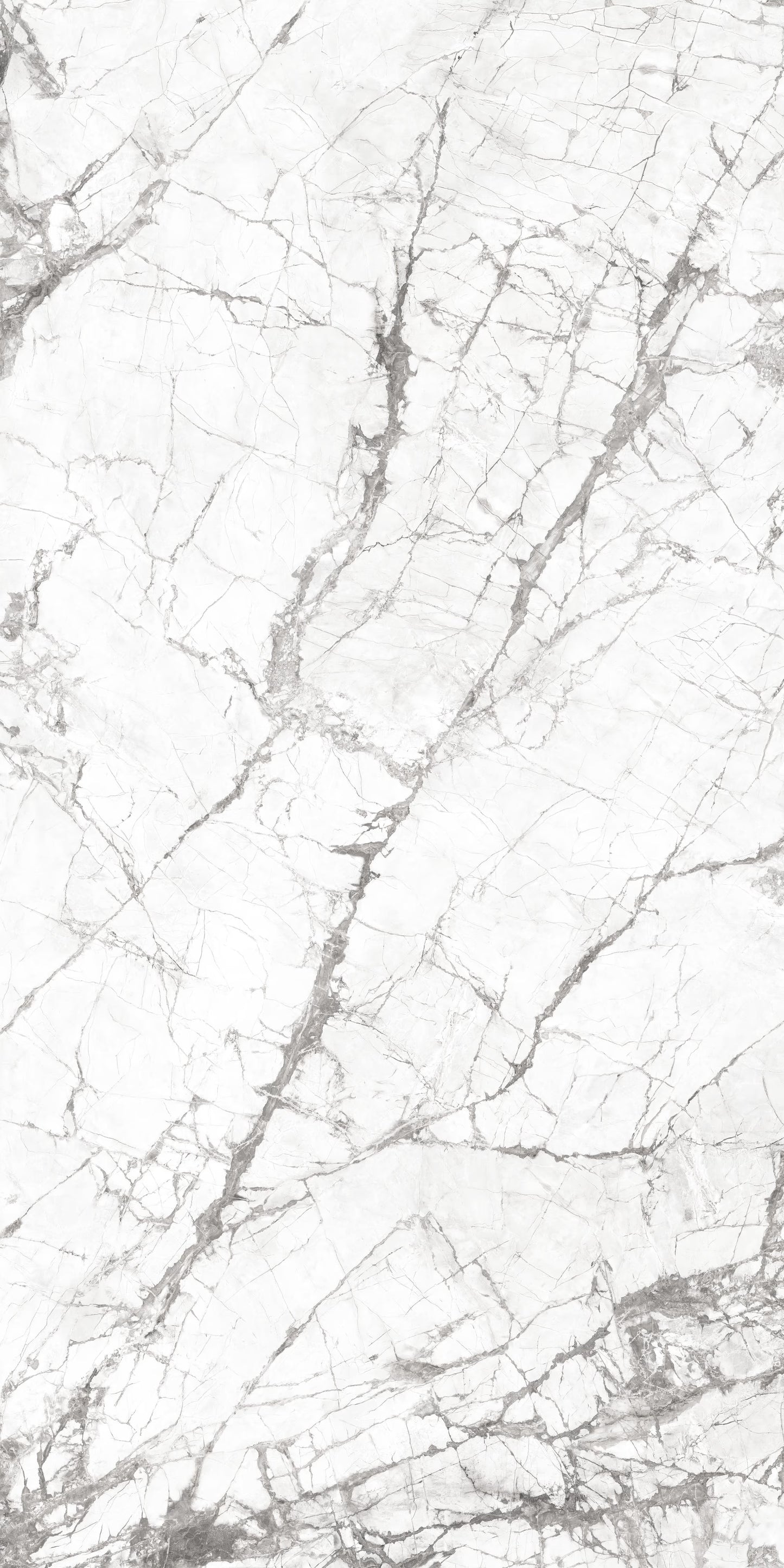 INVISIBLE WHITE