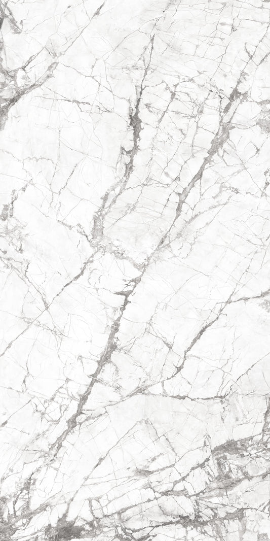 INVISIBLE WHITE